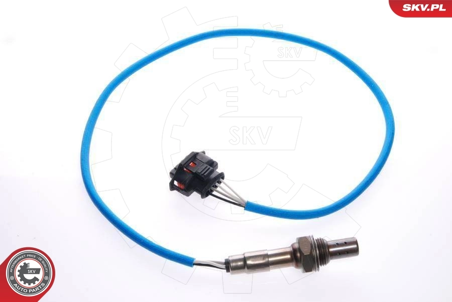 Oxygen Sensor